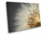 Картина Кульбаба в росі 60x45 см WallArt 54546-1.2