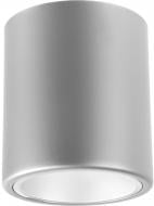 ВИТРИНА! Светильник точечный Nowodvorski Downlight 25 Вт E27 серебряный 4867