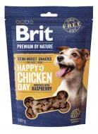 Лакомство Brit Premium Semi-moist Snacks Chicken with Raspberry полувлажные с курицей и малиной 180 г