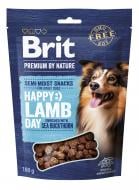 Лакомство Brit Premium Semi-moist Snacks Lamb with Sea Buckthorn полувлажные с ягненком и облепихой 180 г