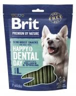 Лакомство Brit Premium Dental Snacks L с коллагеном и спирулиной для собак больших пород 250 г