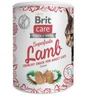 Лакомство Brit Care Snack Superfruits Lamb ягненок 100 г