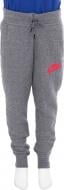 Брюки Nike Girl's Sportswear Modern Pant REG AW1718 806322-093 р. XL серый