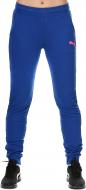 Штани Puma ELEVATED Cat Sweat Pant 83936310 р. XS синій