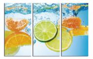 Картина модульная Цитрус в воде 90x60 см WallArt 54558-3.1