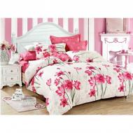 Комплект постельного белья Explosion полуторный разноцветный SoundSleep