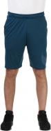 Шорты Nike M NK DRY SHORT EMBOSS 860567-425 р. L синий Шорты Nike M NK DRY SHORT EMBOSS 860567-425 р. L синий