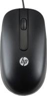 Мышь HP USB Optical Scroll Mouse (QY777AA) black