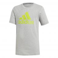 Футболка Adidas YB MH BOS T GE0685 серый