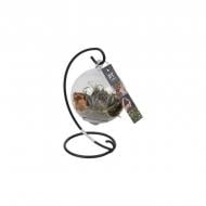 Растение Эхеверия 10х15 в стеклянном шаре с подвесом Растение Эхеверия 10х15 в стеклянном шаре с подвесом