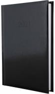 Дневник датированный линия Economix Flash A5 2021 E21606-01