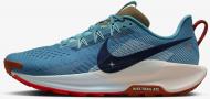Кроссовки мужские Nike Pegasus Trail 5 DV3864-402 р.40 синие