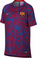 Футболка Nike FCB M NK DRY SQD TOP SS GX 928046-658 р.L красный