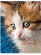 Фотоальбом UFO Cat photo 10x15x200 PP-46200