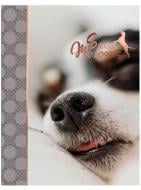 Фотоальбом UFO Enjoy 10x15x200 PP-46200 Фотоальбом UFO Enjoy 10x15x200 PP-46200