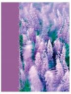 Фотоальбом UFO Lavenders 10x15x200 PP-46200 Фотоальбом UFO Lavenders 10x15x200 PP-46200