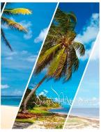 Фотоальбом UFO Paradise 10x15x200 PP-46200