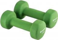 Гантелі Energetics Neoprene Dumb Pairs 106225-2,5 Neoprene Dumbbells 2x2,5 кг зелений