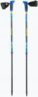 Палки для скандинавской ходьбы Viking Ruten Pro Nordic Walking 650/22/5190/15 Палки для скандинавской ходьбы Viking Ruten Pro Nordic Walking 650/22/5190/15