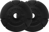 Набор Energetics Cast Iron Disc Pair 30 mm диски для грифа 2 шт. 2,5 кг 108792