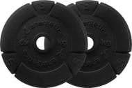 Набор Energetics Cast Iron Disc Pair 30 mm диски для грифа 2 шт. 5 кг 108792