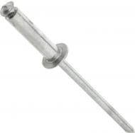 Заклепка вытяжная 36570 Al-St 4-х лепестковая 4,8х20 мм 100 шт./уп. snapt