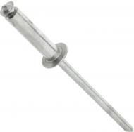 Заклепка витяжна 36568 Al-St 4-х пелюсткова 4,8х16 мм 100 шт./уп. snapt