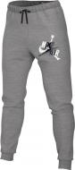 Штани Nike M J JM CLSCS LTWT FLC PANT CK2850-092 р. S сірий