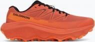 Кроссовки Salomon SHOES ULTRA FLOW 2 L49221500 р.44