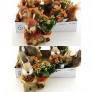 Растение Композиция 15х20 каланхое в декоративном кашпо с белочкой Растение Композиция 15х20 каланхое в декоративном кашпо с белочкой