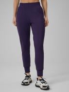 Брюки 4F Trousers Fnk F1074 4FWSS26TFTRF1074-50S р. XL фиолетовый