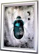 Картина на зеркале X8 PREMIUM SERIES SCARAB N3301 76x96 см СЕАПС 3360803301