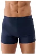 Плавки 4F 4FWSS25USWTM043-30S SWIMMING TRUNKS M043 р.L