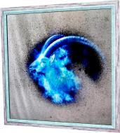 Картина на зеркале X7 ZODIAC CAPRICORN №1205 67x67 см СЕАПС 2260601205