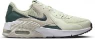 Кросівки жіночі демісезонні Nike AIR MAX EXCEE CD5432-011 р.36,5 оливкові