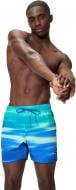 Шорты Speedo ENG PRNT REDONDO EDGE VOLY 16" 8-004842002 р. 2XL разноцветный