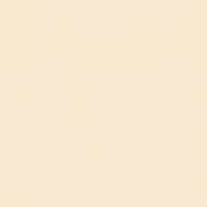 Краска латексная водоэмульсионная Triora TR-37 silk&baby шелковистый мат NCS S 0907-Y50R 10 л