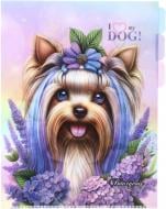 Папка Г-форма А4+ Р0234 (3 відділення) Bourgeois