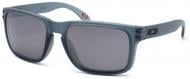 Очки солнцезащитные Speedo Holbrook 9102Z4