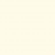 Краска латексная водоэмульсионная с колорированием Triora TR-37 silk&baby шелковистый мат NCS S 2002-G50Y 10 л