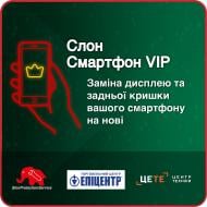 Карточка Слон смартфон VIP 12 месяцев Карточка Слон смартфон VIP 12 месяцев