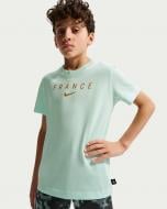 Футболка Nike FFF U NK WORDMARK TEE IQ2193-393 р.S голубой
