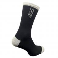 Шкарпетки чоловічі Premier Socks Sport в рубчик р.27 чорний