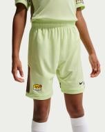 Шорты Nike K NK DF ACD25 SHORT SS -PD IF2773-360 р. XS лайм