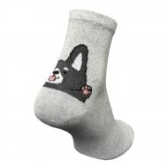 Носки женские Premier Socks с песиками р.23-25 светло-серый