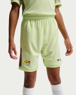 Шорты Nike K NK DF ACD25 SHORT SS -PD IF2773-360 р. S лайм