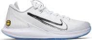 Кроссовки мужские Nike COURTAIR ZOOZERO HC AA8018-105 р.42,5 белые