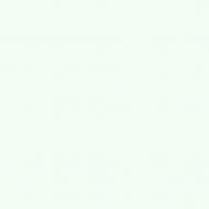 Краска латексная Triora TR-37 silk&baby шелковистый мат NCS S 0505-B80G 10 л