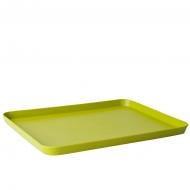 Поднос Алеана травяной 29.5х21 см