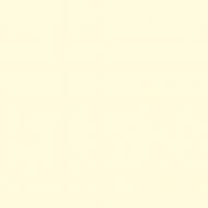 Краска латексная Triora TR-37 silk&baby шелковистый мат NCS S 0510-G70Y 10 л